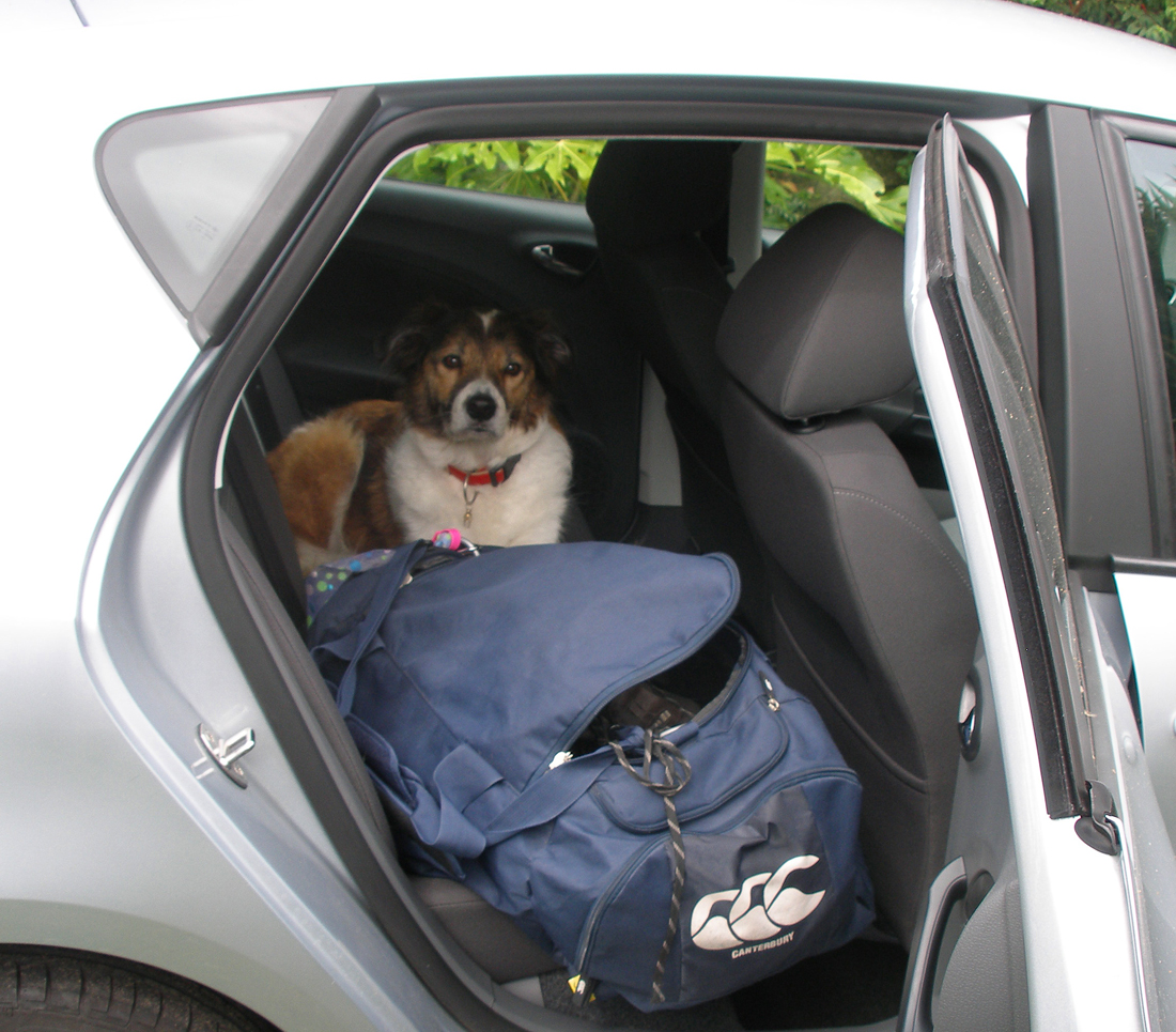 can I come with you.jpg - OLYMPUS DIGITAL CAMERA